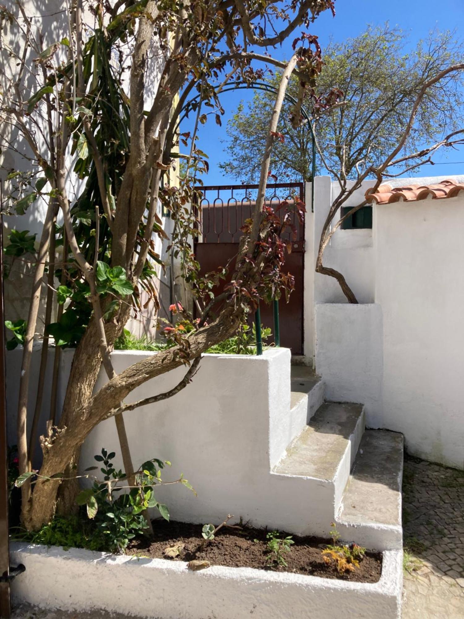 Villa Family House Adraga Sintra Exterior foto